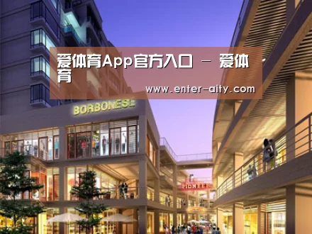 案例展示一(图1)