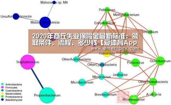 2020年商丘失业保险金最新标准:领取条件、流程、多少钱【爱体育App】(图3) 爱体育App